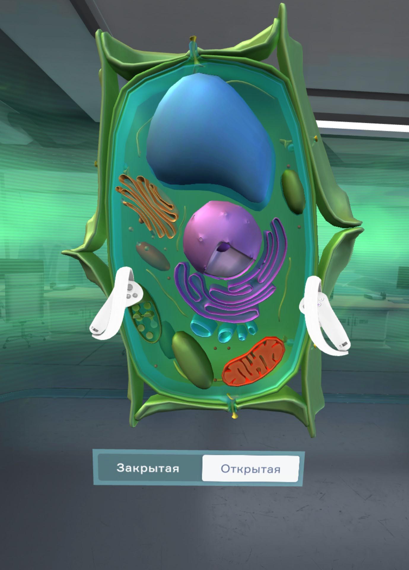 Курс Биология. Цитология VR (бессрочная лицензия на 1 устройство)